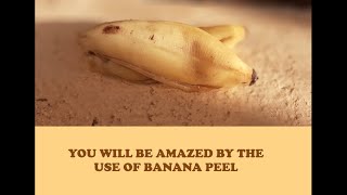 #BananaPeel #Recycling #Upcycling You Will Never Throw Away Banana Peel After Watching This