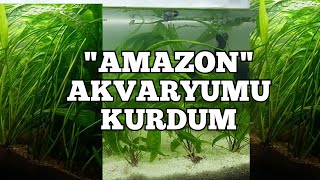 AMAZON AKVARYUMU KURDUM !!!    I set up amazon aquarium