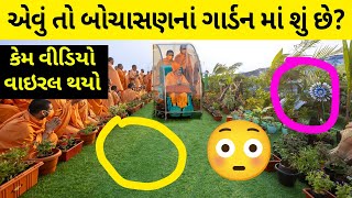 Artificial ગાર્ડન નો Viral થયેલો Video - Guruhari Darshan November 2023 Bochasan, Gujarat #baps