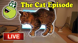 DENNIS LIVE: Enjoy Cats! memes,  jokes, cats