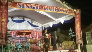 LIVE JARANAN SINGO BUDOYO DI LUWORO PILANGKENCENG