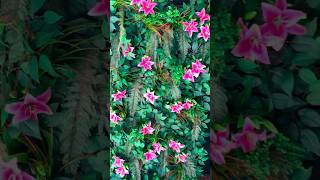 Jardim Vertical Com Lírio Artificial #lírio #jardimvertical #floresartificiais