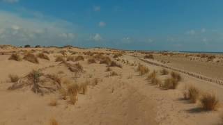 plage de l' Espiguette - Grau du Roi - Port Camargue