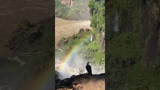 CATARATAS DEL IGUAZÚ