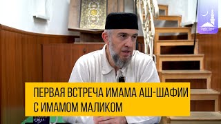 Первая встреча имама Аш-Шафии с имамом Маликом | Абдуллахаджи Хидирбеков | Фатхуль Ислам