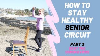 Senior Circuit Home Workout for age 70 plus. Beat the Virus. Keep fit and stay well