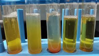 Ammonia production test by bacteria| microbiology practical