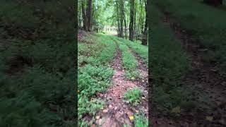 Amazing In town bike trail on historic Laurel Creek