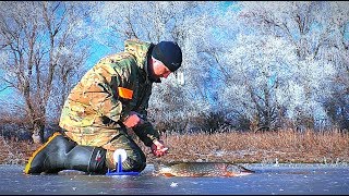 ЖЕРЛИЦЫ НА ЩУКУ. Первая рыбалка 2020. ЧУДЕСНОЕ январское утро.