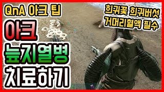 아크서바이벌 늪지열병 치료하기 방법 & 희귀꽃, 희귀버섯, 거머리혈액 얻기