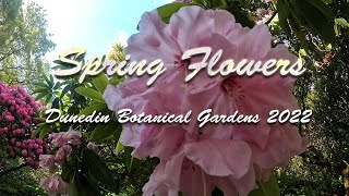 Spring Flowers - Dunedin Botanical Gardens 2022 | 4K