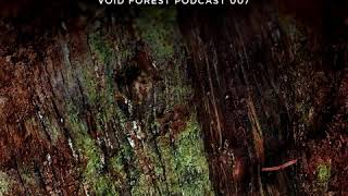 Void Forest Podcast 007 - Diego Welter