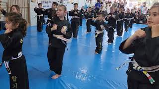 Kindy and early primary school Martial Arts Grading Test