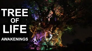 Tree of Life at Disney’s Animal Kingdom “Awakenings”