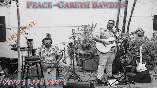 Peace - Gareth Bawden original acoustic song | Original composition by Gareth Bawden | Peace