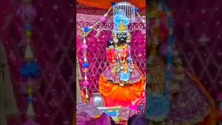 Banke bihari ka adhbhut swaroop #bankebihari #vrindavan #radhakrishna #shorts #bankebiharishorts