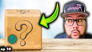 What’s in this Mystery Box? / Whatnot setup