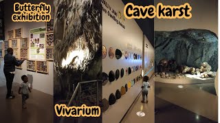 Exploring Postojna Cave Karst, Vivarium+Butterfly Exhibition in Breathtaking Slovenia🦋/diaper change