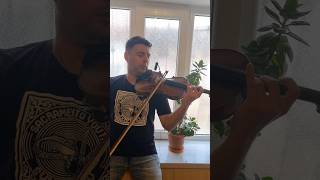 Bach/Gounod - Ave Maria #violin #bach #avemaria #shorts