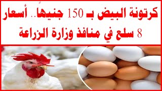 كرتونة البيض بـ 150 جنيهًا أسعار 8 سلع في منافذ وزارة الزراعة