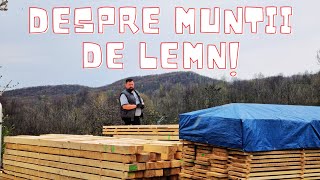 Cum evaluez, măsor umiditatea și leg lemnul să rămână drept pentru a construii o casă din lemn!