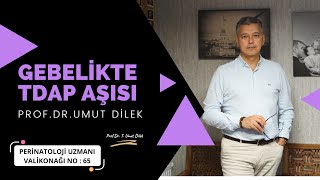 Gebelikte Karma Aşı (Difteri Tetanoz Asellüler Boğmaca) Aşısı (TDAP)