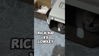 Rich Kid vs Lowkey cats #cats #richkid #lowkey #cutecat #supercute #ashley #piper #motheranddaughter