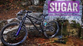 Sugar Trail Parnitha: Top riding condition #mtb #specialized