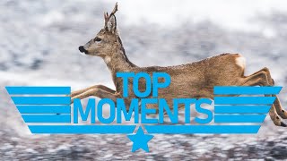 Top Moments: [Episode 9] "Driven Roe Buck"