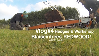 Vlog #4 Stihl 87" Chainsaw Redwood