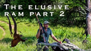 Hunting Bushbuck Against The Odds in The Limpopo Valley of South Africa! The Elusive Ram Part 2!!