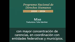 DERECHOS ECONÓMICOS, SOCIALES Y CULTURALES, MIXE