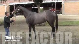 The Factor & Decisive Moment 2011 Kentucky Derby contenders