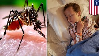 Mother shares story of son getting virus from mosquito bite - TomoNews