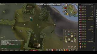 Zulrah Mage Only Guide 8 Kill 1,3m Profit