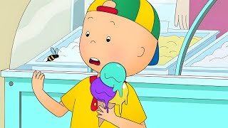 Caillou Drops His Ice Cream | Caillou's New Adventures