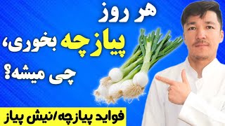 خواص درمانی نیش پیاز یا پیازچه؛ پیازچه چه کارهای که با بدن شما نمی‌کند! اگر پیازچه میخوری ببین!