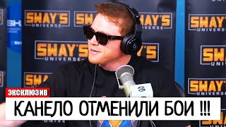 АЛЬВАРЕС ПОТРЯСЕН! Саулю Альваресу ЗАПРЕТИЛИ БОКСИРОВАТЬ С Кроуфордом | Дмитрий Бивол - Бетербиев