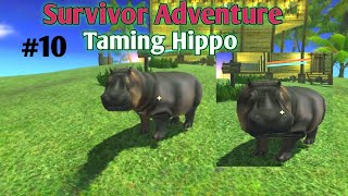 Taming Hippo | Survivor Adventure Survival Island |