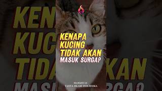 Apa Karena Dia Berdosa Maka Allah SWT Melarang Kucing Masuk Surga?...