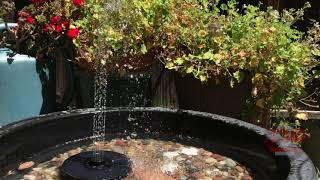 Two Minute Mindfulness Meditation Small Solar Fountain 4K UHD