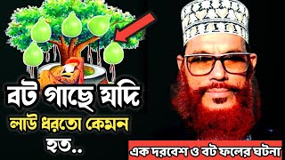 এক দরবেশ ও বট ফলের শিক্ষনীয় ঘটনা/আল্লামা দেলোয়ার হোসেন সাঈদী/Delowar Hossain Sayeedi waz