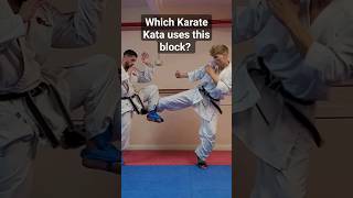 Which Kata has this block? #Karate #kata #shorts #martialarts @nathearn