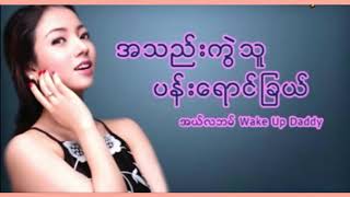 39. အသည်းကွဲသူ (ပန်းရောင်ခြယ်) Karaoke Song