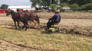 Plowing a Field with a Mule and Horse