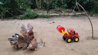 Simple Bird Trap using Roller trucks - Build Bird Trap Make From Roller trucks Work (100%)