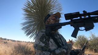 SNEAKY DAWG-COYOTE HUNTING #shorts #tactacam