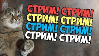 Тетя Чуня СТРИМ!😺13.03.2021