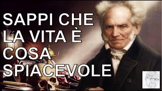 Schopenhauer - La vita è una cosa spiacevole e io ho deciso di passare la mia a rifletterci sopra