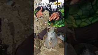 kolaborasi 3 angler cumi hehengeta di spot cumi🤣😁 #shortvideo #shrots #fypyoutube #fypシ゚viral